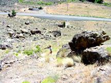 Heading back down the trail